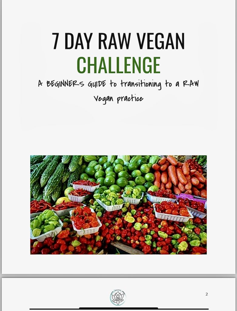 7 DAY RAW VEGAN GUIDE BY AG LYT